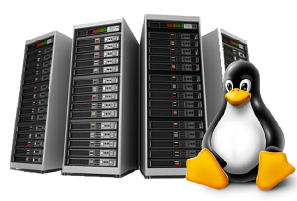 What Is Linux Hosting? What Are the Advantages and Differences of Linux Hosting?
